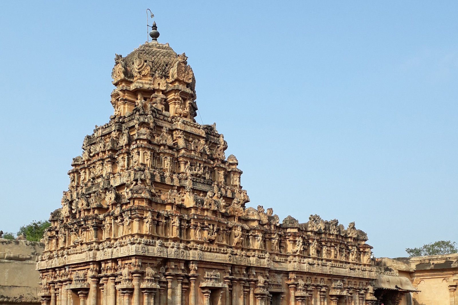 pexels prabaharan balaji 3341697 5103732 pexels prabaharan balaji 3341697 5103732
